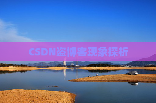 CSDN盗博客现象探析 CSDN盗博客现象探析